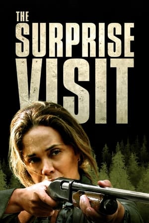 The Surprise Visit movie english audio download 480p 720p 1080p