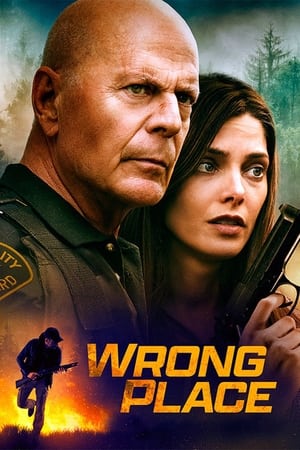 Wrong Place movie dual audio download 480p 720p 1080p