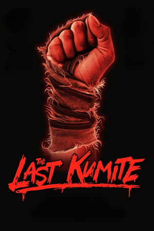 The Last Kumite movie english audio download 480p 720p 1080p