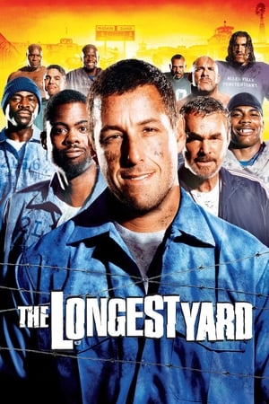 The Longest Yard movie dual audio download 480p 720p 1080p