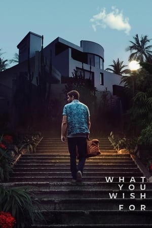 What You Wish For movie english audio download 480p 720p 1080p